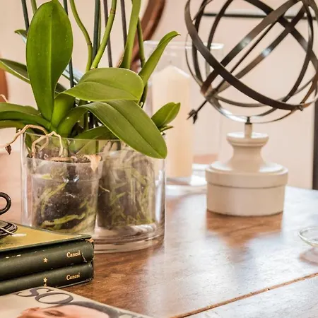 Molo Luxury Puerto Banus 马尔韦利亚