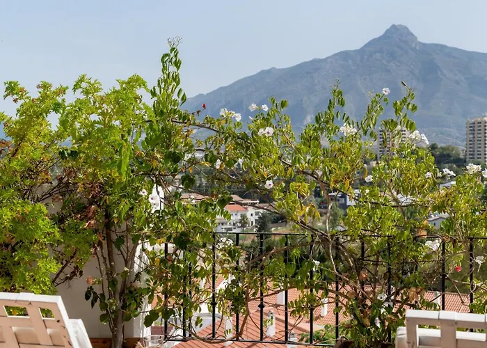 Molo Luxury Puerto Banus Marbellac