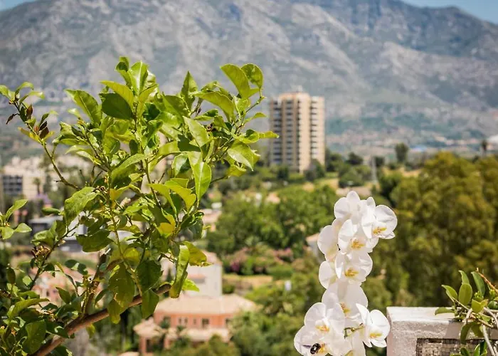 Molo Luxury Puerto Banus