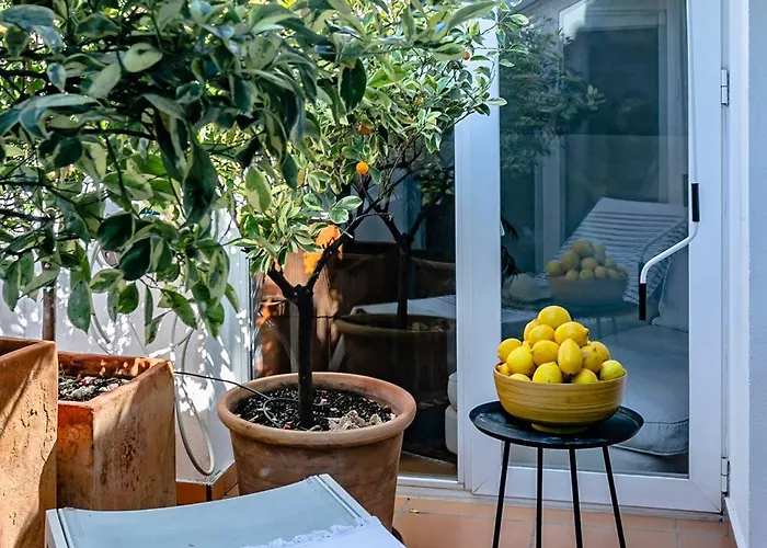 Molo Luxury Puerto Banus