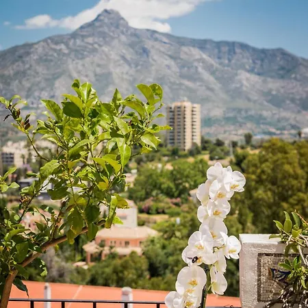 Molo Luxury Puerto Banus