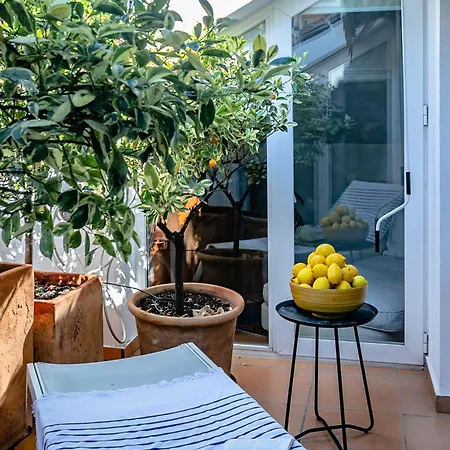 Molo Luxury Puerto Banus